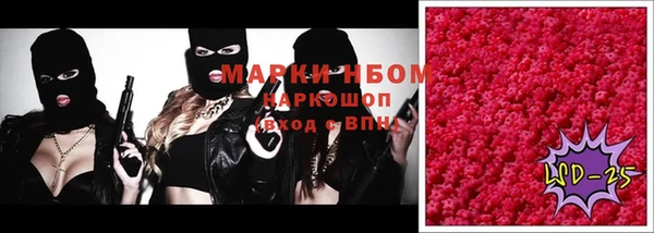 дживик Баксан