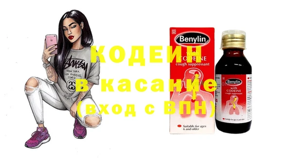 индика Арсеньев