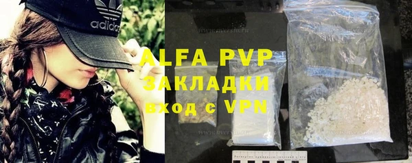 индика Арсеньев