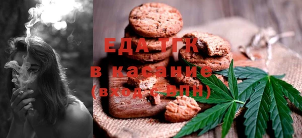 индика Арсеньев