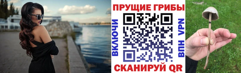 площадка формула  Кыштым  Псилоцибиновые грибы мицелий 