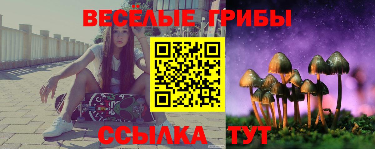 Галлюциногенные грибы Magic Shrooms  Галлюциногенные грибы мухоморы  Вход с VPN  Кыштым 