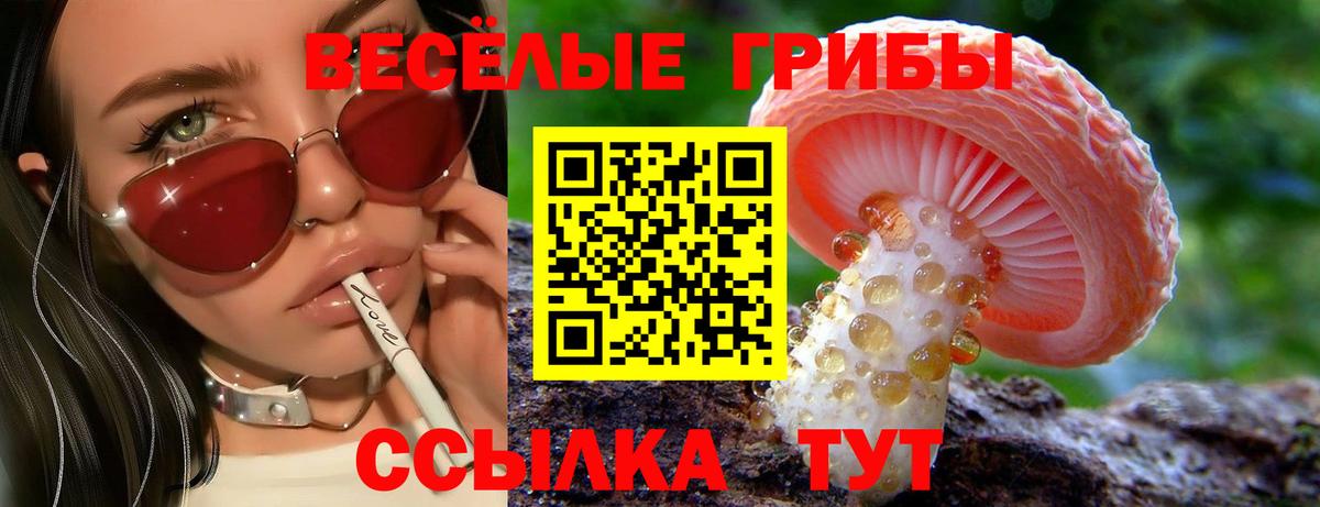 Галлюциногенные грибы Psilocybine cubensis Кыштым